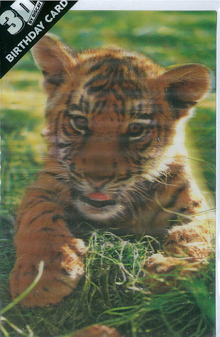 3D Card Tiger cub