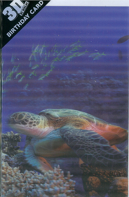3D Card Turtle
