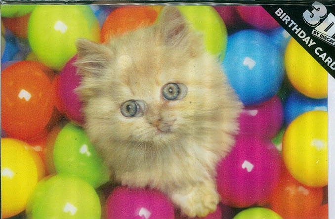 3D Card Kitten