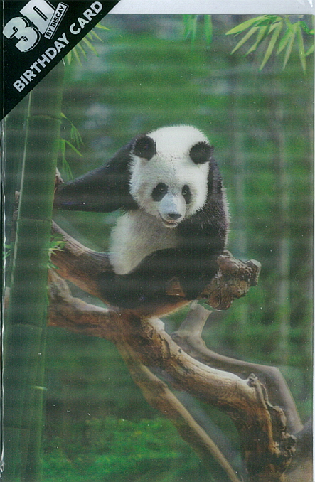 3D Card Panda