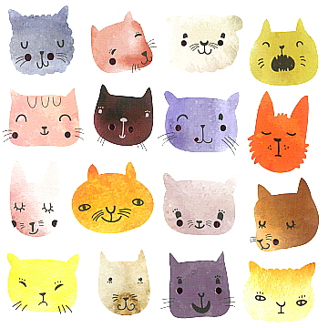 Square Blank Card 16 cats