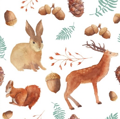 Square Blank Card Rabbit, Dear, Squirrel and Acorns