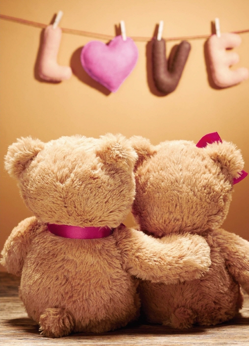 Snapshot Teddy Love