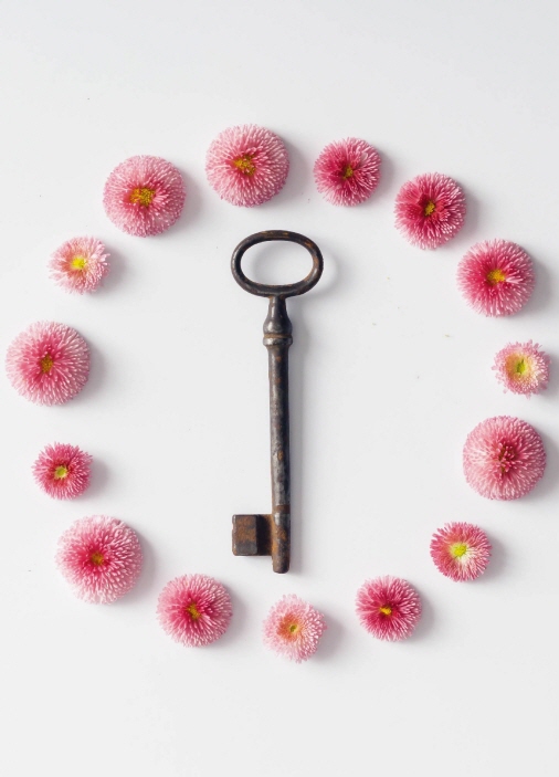 Snapshot Flowers & Key