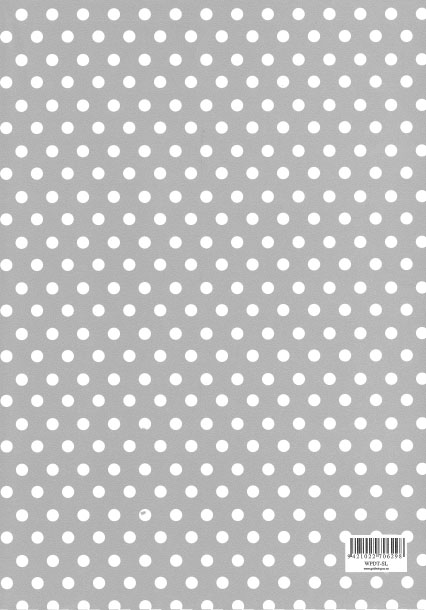 Folded Wrapping Paper Dot Silver